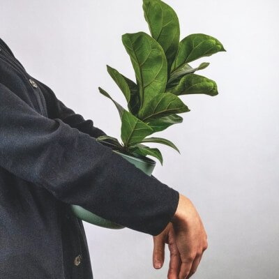 Tentang Kami Plants Store Gallery Img 6